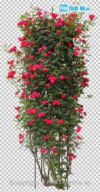 cây hoa photoshop,thư viện photoshop,cây photoshop